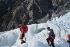 Franz Josef Glacier guide Tim leading the way.
